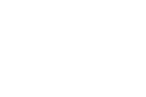 Chainlink